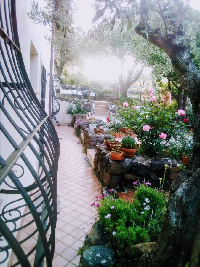 B&B Valverde Доргали Екстериор снимка